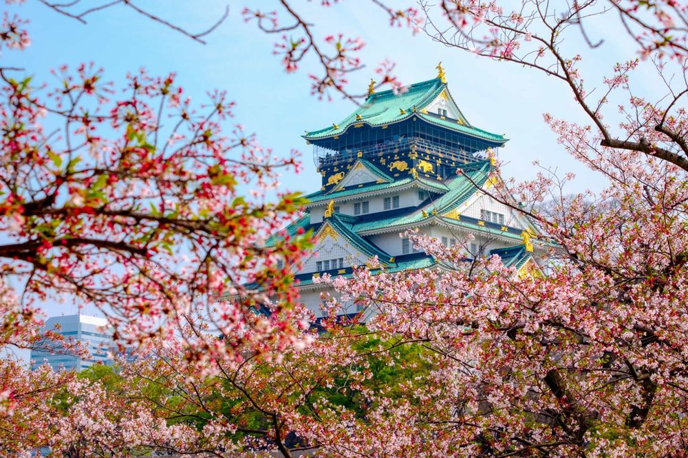 OSAKA festival